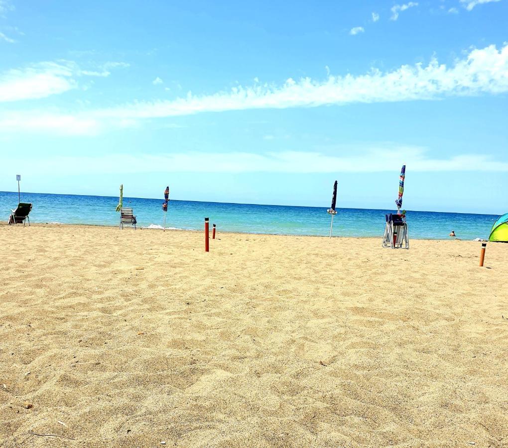 Hotel Lupo Di Mare Marina di Castagneto Carducci Dış mekan fotoğraf