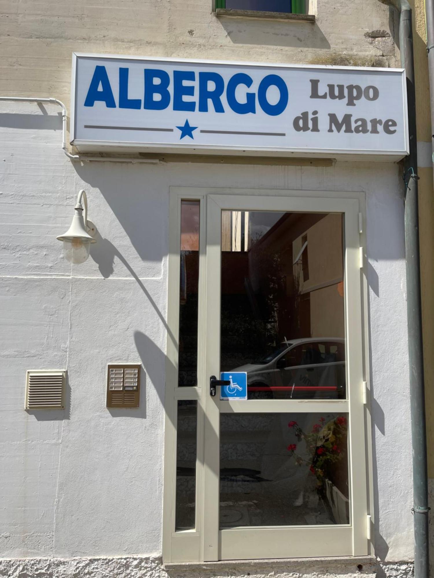Hotel Lupo Di Mare Marina di Castagneto Carducci Dış mekan fotoğraf